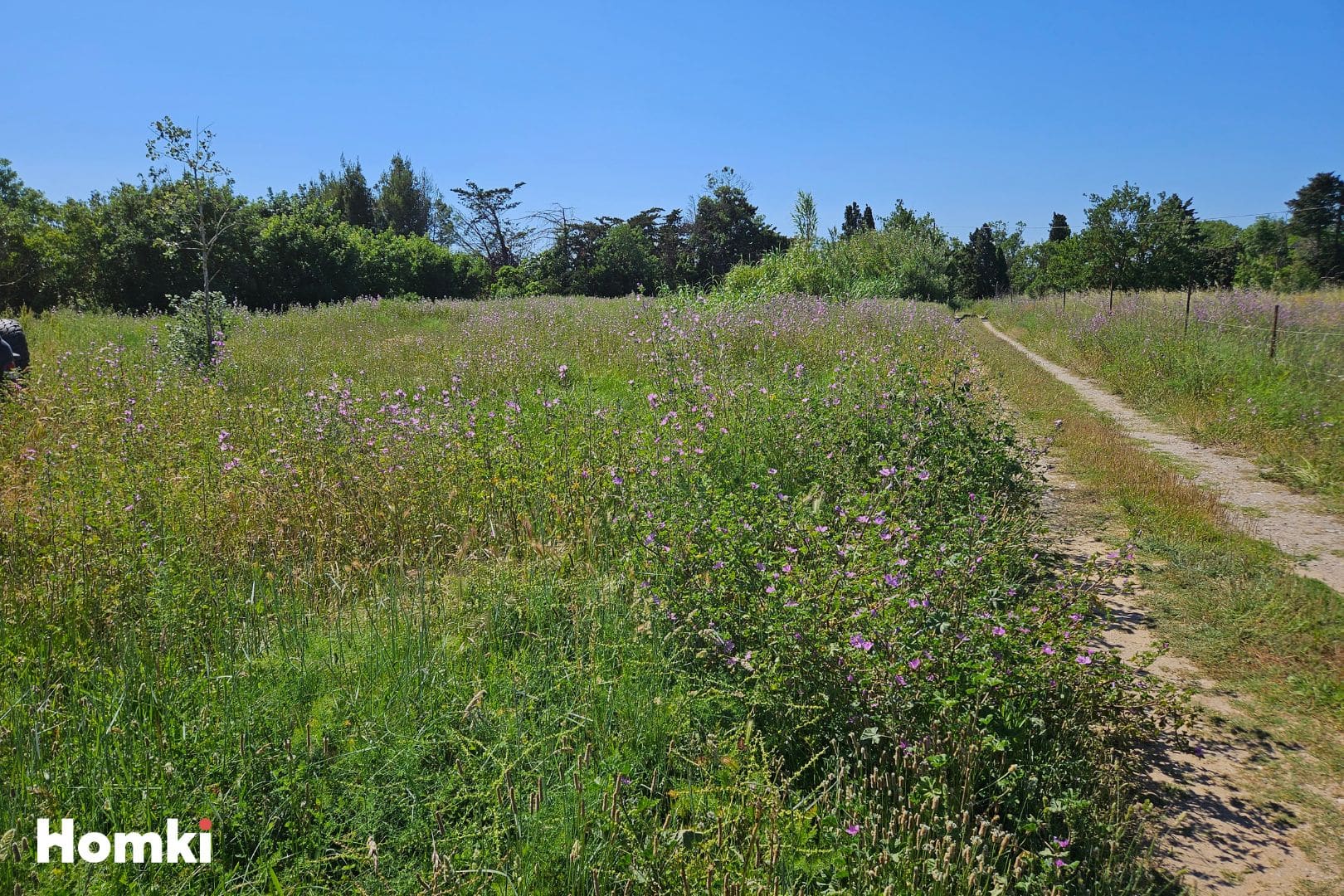 Image de couverture du bien