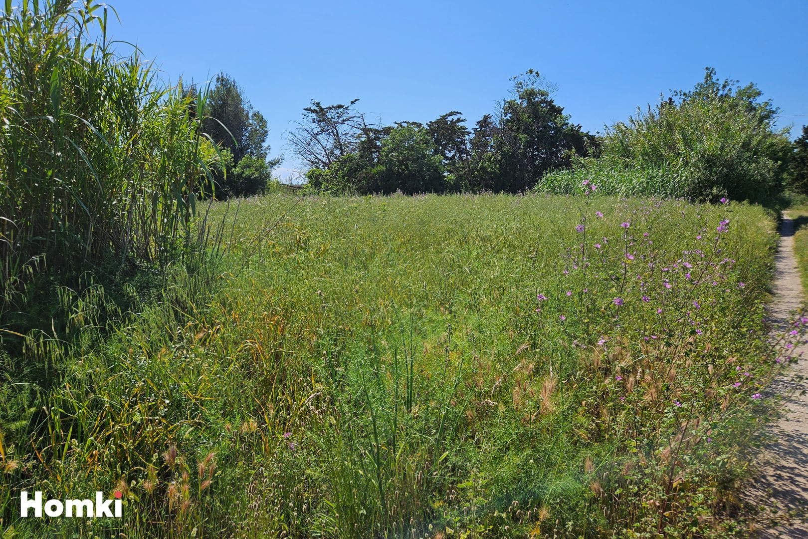 Image de couverture du bien