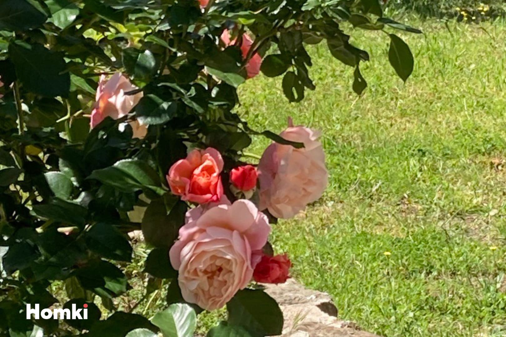 Image de couverture du bien