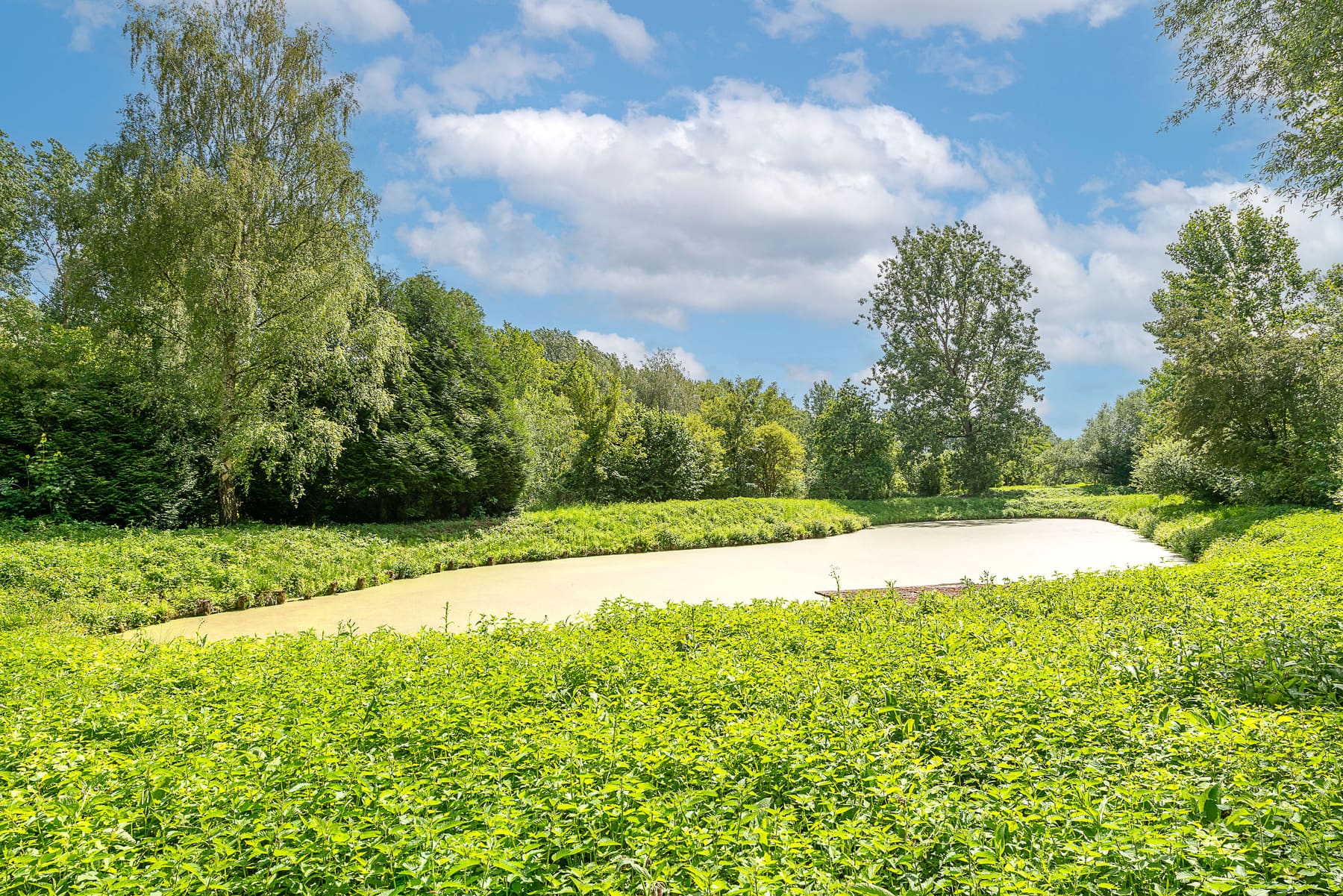 Image de couverture du bien